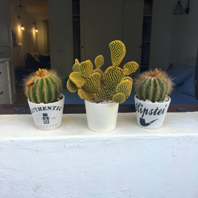Vivienda Vacacional Cactus Costa Teguise Buitenkant foto